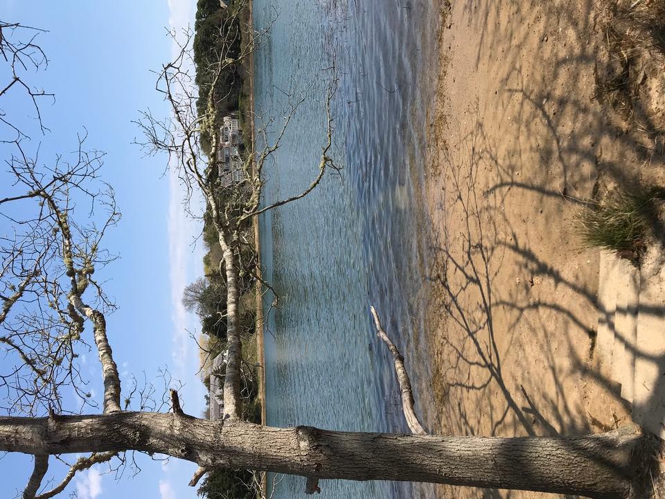 Kents Point